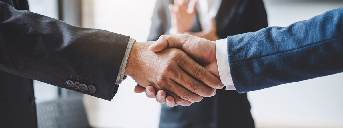 Two professionals shaking hands