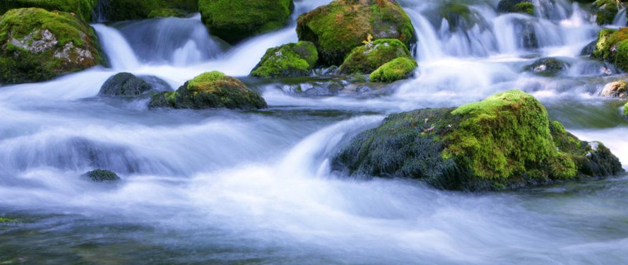 Clear stream flowing over mossy rocks